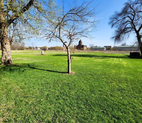 602 E Willow Avenue Olivia MN 56277