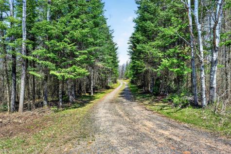 8225 N Blaisdell Lake Winter WI 54896