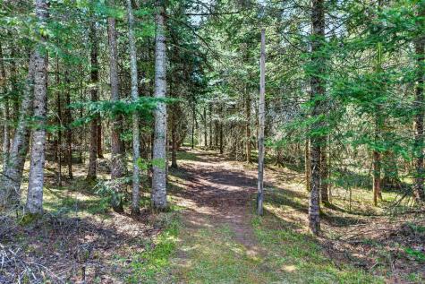 8225 N Blaisdell Lake Winter WI 54896