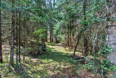 8225 N Blaisdell Lake Winter WI 54896