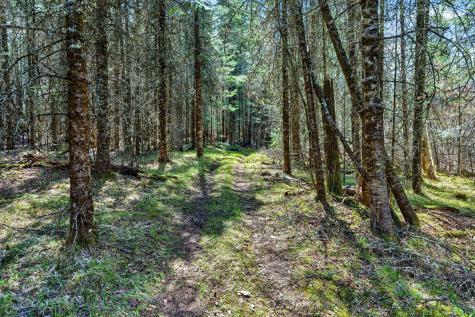 8225 N Blaisdell Lake Winter WI 54896