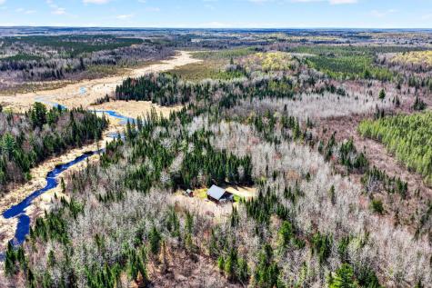 8225 N Blaisdell Lake Winter WI 54896