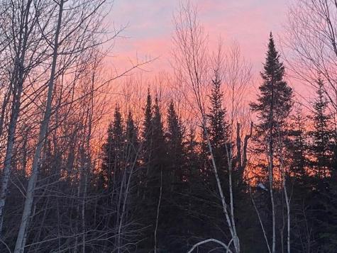 8225 N Blaisdell Lake Winter WI 54896