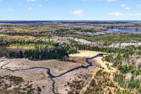 8225 N Blaisdell Lake Winter WI 54896