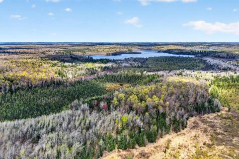 8225 N Blaisdell Lake Winter WI 54896