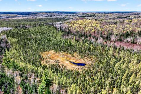 8225 N Blaisdell Lake Winter WI 54896