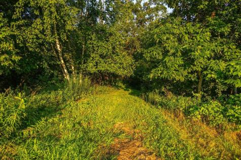 Tbd County S Road Blair WI 54616