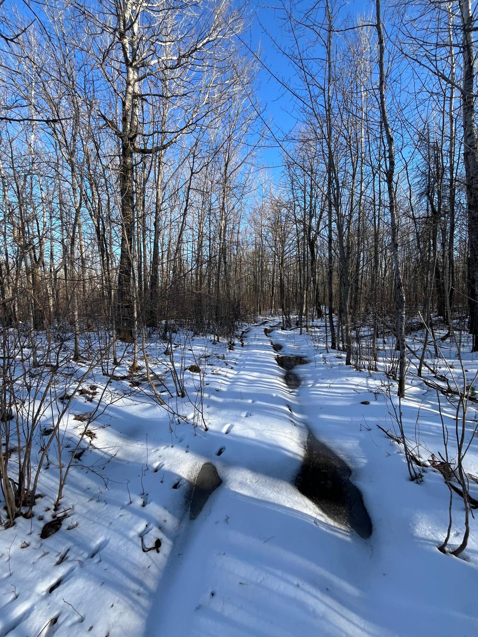 Tbd County Road 4 Barnum MN 55707