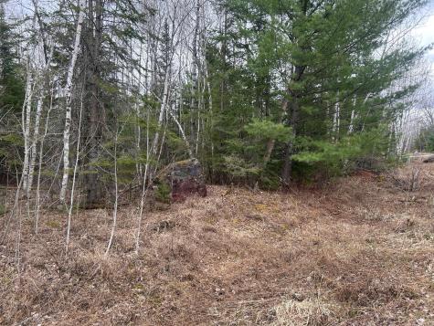 Tbd N Birch Drive Coleraine MN 55721