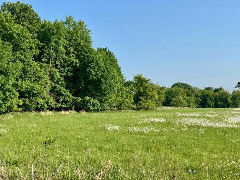 Xxxxx County Road Z Trade Lake WI 54840