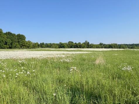 Xxxxx County Road Z Trade Lake WI 54840