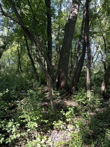 Xxx 50th Street SE Franklin Twp MN 55313