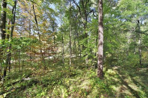 Tbd White Overlook Drive Breezy Point MN 56472