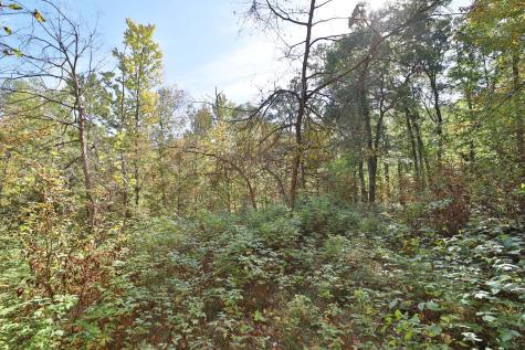 Tbd White Overlook Drive Breezy Point MN 56472