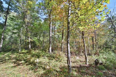 Tbd White Overlook Drive Breezy Point MN 56472