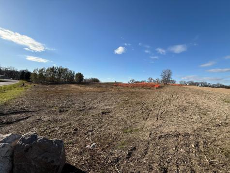 Lot 1, Block 1 Alivia's Avenue Pelican Rapids MN 56572