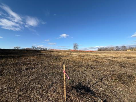 Lot 1, Block 1 Alivia's Avenue Pelican Rapids MN 56572