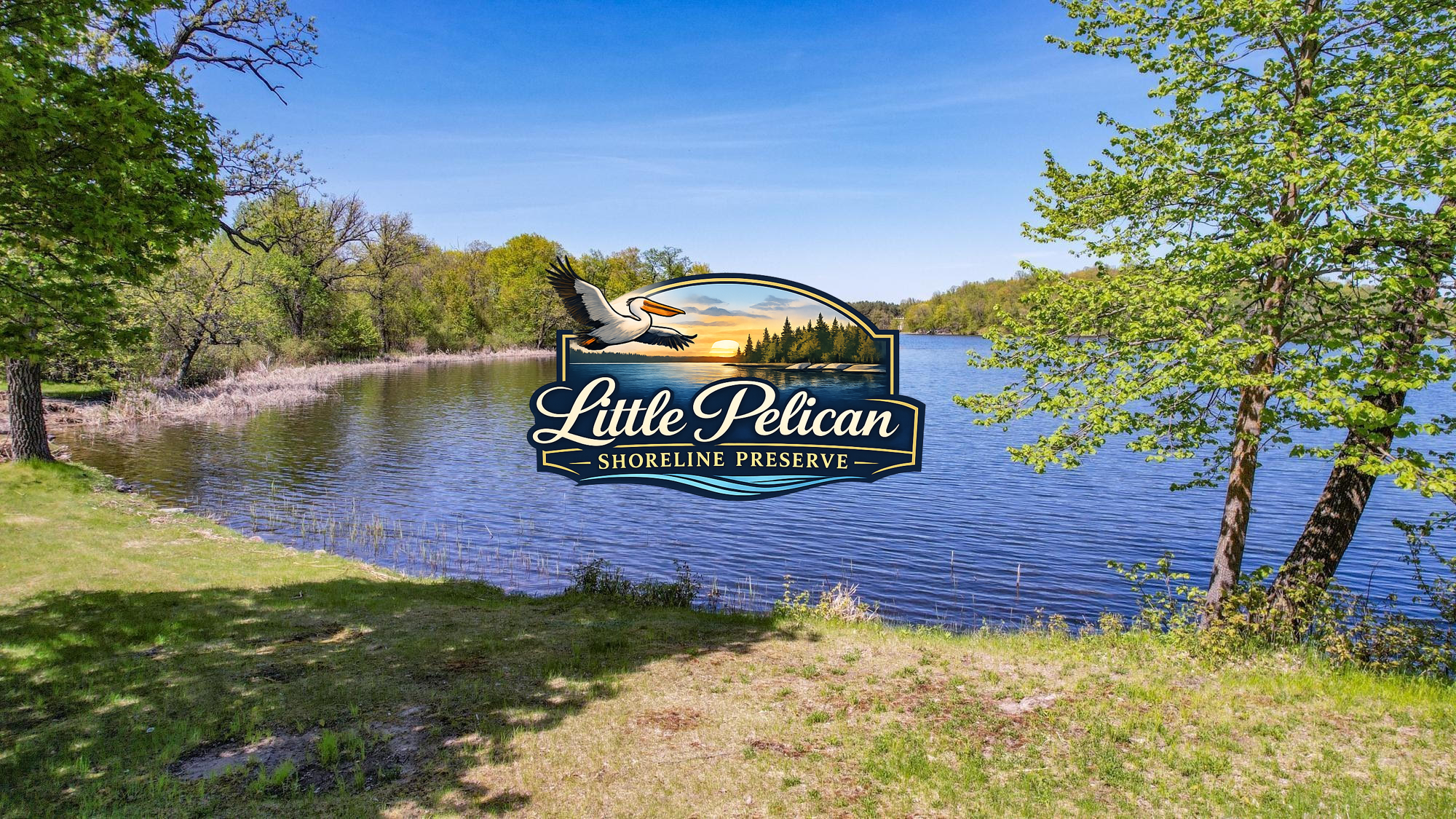 25819 Frieda Drive Detroit Lakes MN 56501