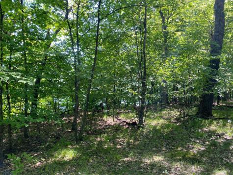 25819 Frieda Drive Detroit Lakes MN 56501