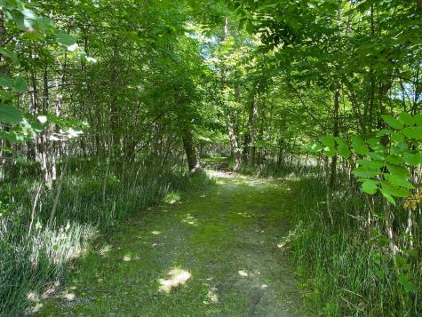 25819 Frieda Drive Detroit Lakes MN 56501