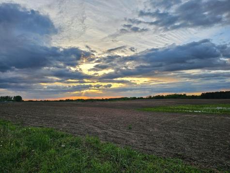 434XX St Highway 87 Frazee MN 56544