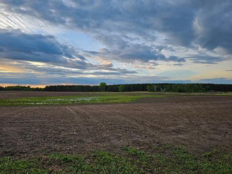 434XX St Highway 87 Frazee MN 56544