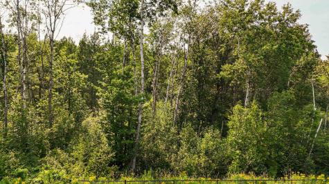 TBD1 Winter Creek Court Nisswa MN 56468