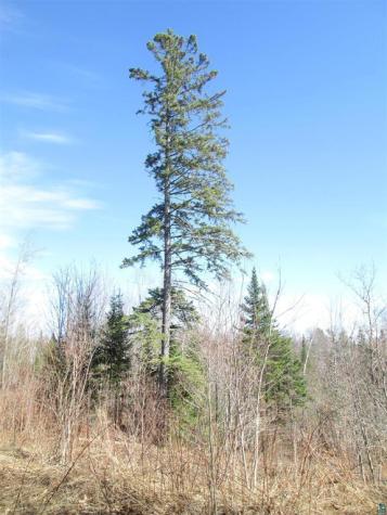 Lot 1 County Road L South Range WI 54874