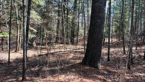 Tbd County 37 Laporte MN 56461