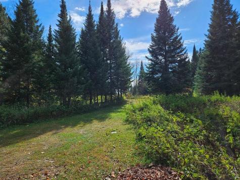 Lt 3 Blk 1 County Road 238 Deer River MN 56636