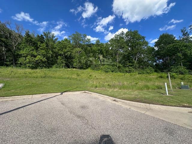 0 Novlan Avenue Rushford MN 55971