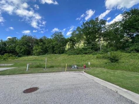 0 Novlan Avenue Rushford MN 55971