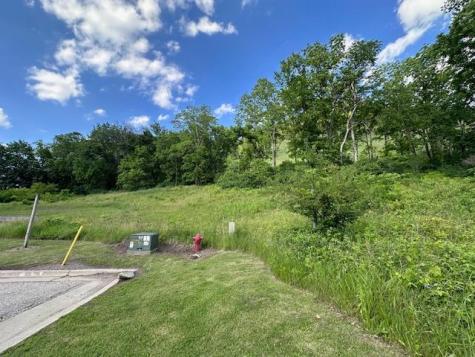 0 Novlan Avenue Rushford MN 55971