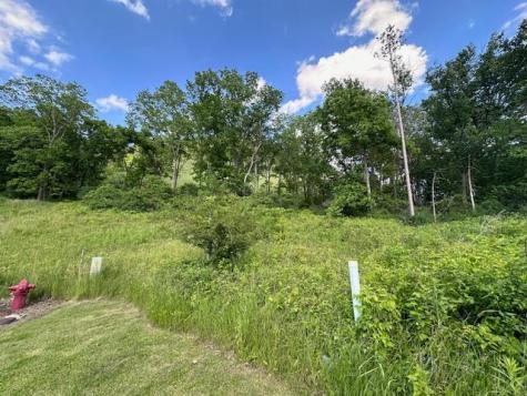 0 Novlan Avenue Rushford MN 55971