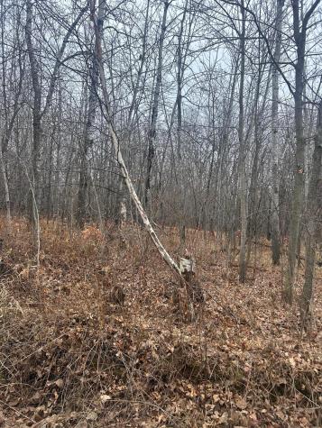 Tbdx Golf Course Drive Cushing Twp MN 56443