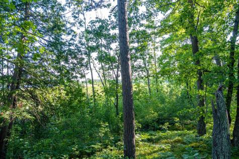 Tbd Lantern Lane Hackensack MN 56655
