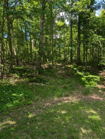 Tbd Lantern Lane Hackensack MN 56655