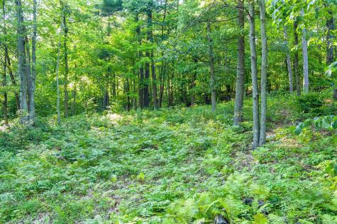 Tbd Lantern Lane Hackensack MN 56655