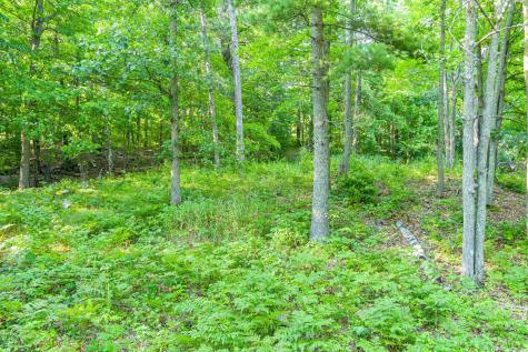 Tbd Lantern Lane Hackensack MN 56655