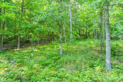 Tbd Lantern Lane Hackensack MN 56655