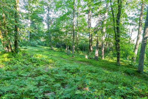 Tbd Lantern Lane Hackensack MN 56655