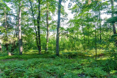 Tbd Lantern Lane Hackensack MN 56655