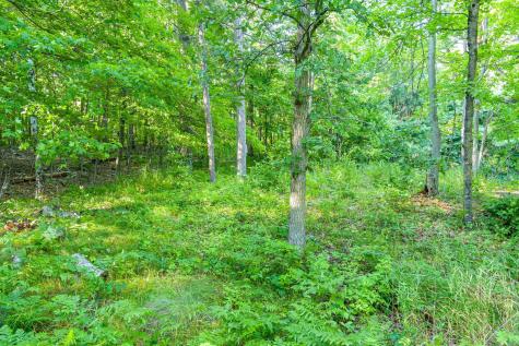 Tbd Lantern Lane Hackensack MN 56655
