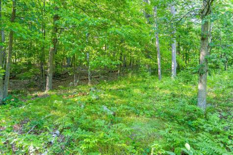 Tbd Lantern Lane Hackensack MN 56655