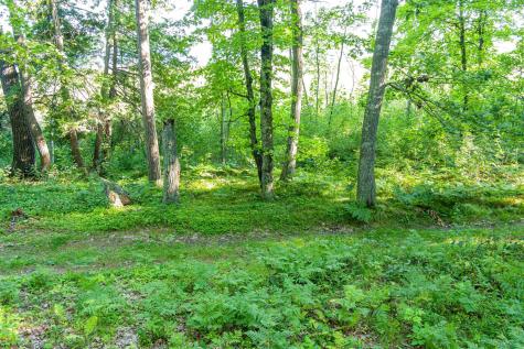Tbd Lantern Lane Hackensack MN 56655