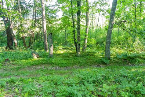 Tbd Lantern Lane Hackensack MN 56655