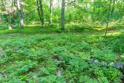Tbd Lantern Lane Hackensack MN 56655