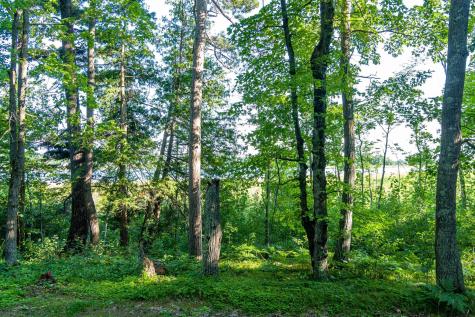 Tbd Lantern Lane Hackensack MN 56655