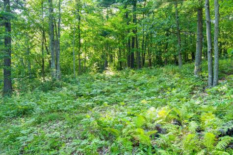 Tbd Lantern Lane Hackensack MN 56655