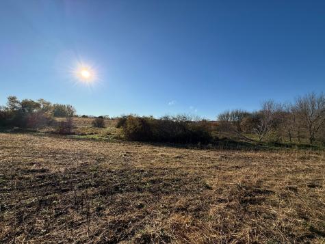 Lot 2, Block 2 Alivia's Avenue Pelican Rapids MN 56572